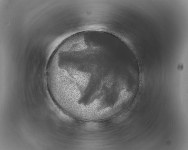 X0000112161470200908281352