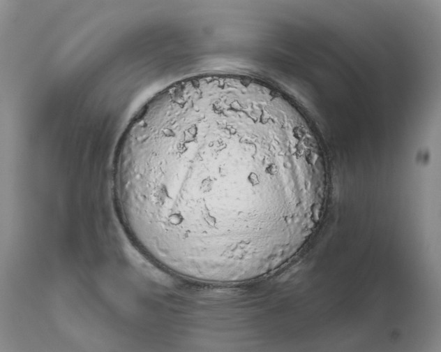 X0000112161471200908281351