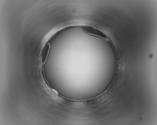 X0000112161472200908281351