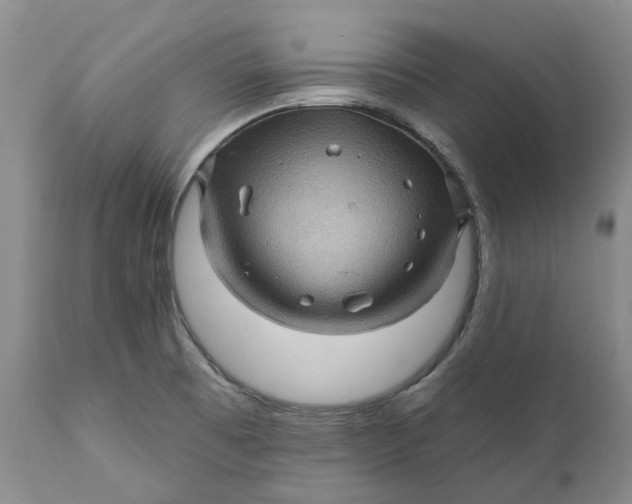 X0000112161473200908281351