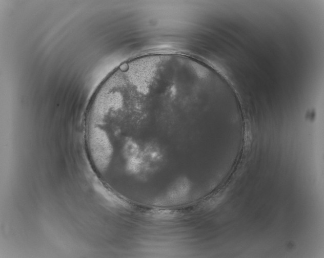 X0000112161474200908281351