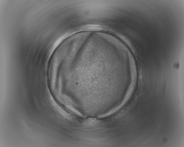 X0000112161475200908281351