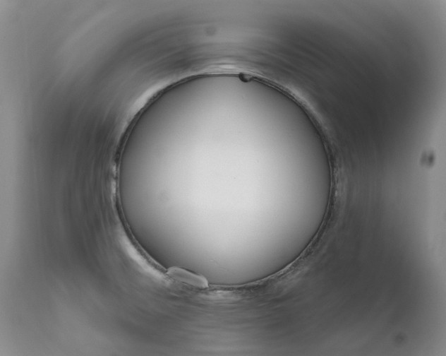 X0000112161476200908281351