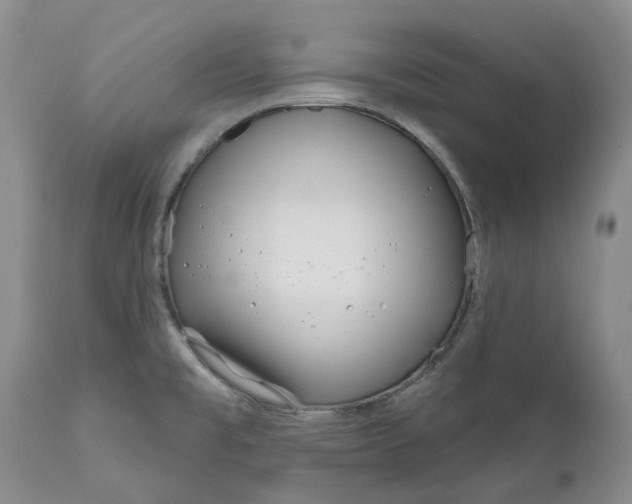 X0000112161477200908281351