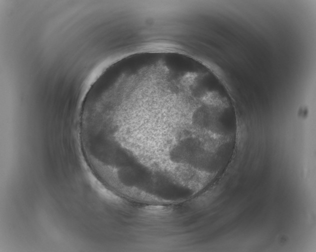 X0000112161478200908281351