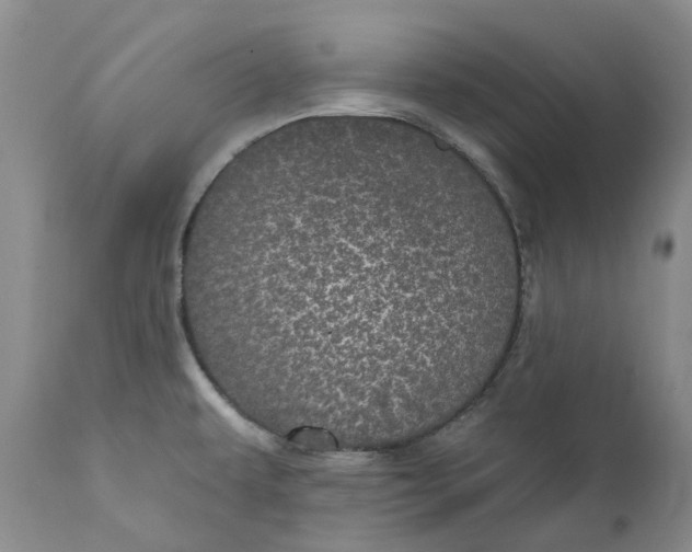 X0000112161479200908281351