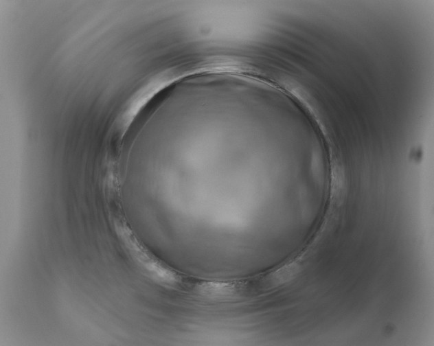 X0000112161481200908281351