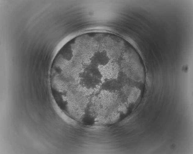 X0000112161482200908281351