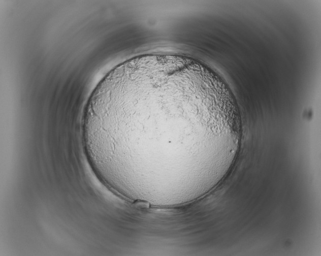 X0000112161483200908281351