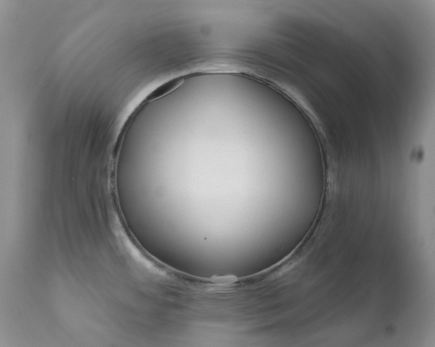 X0000112161484200908281351