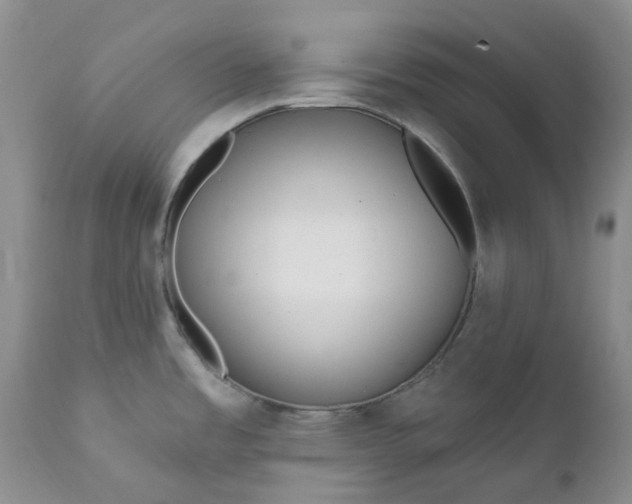 X0000112161485200908281351