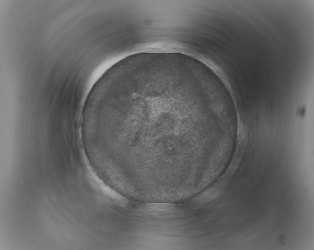 X0000112161486200908281351