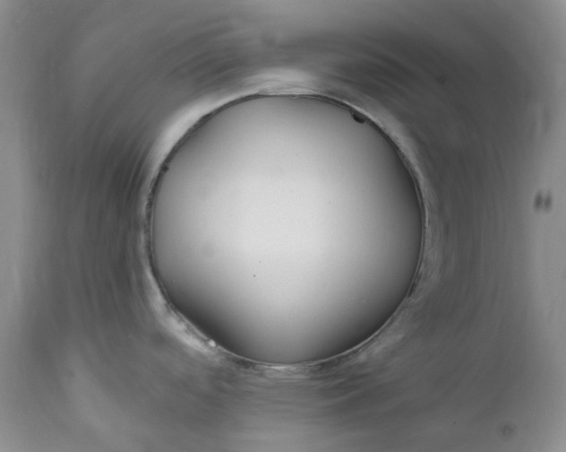 X0000112161488200908281351