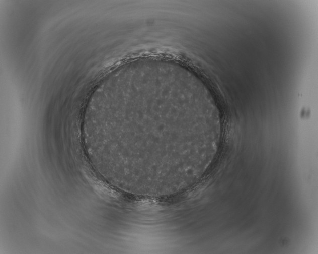 X0000112161489200908281351