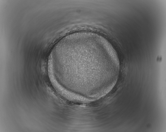 X0000112161490200908281351