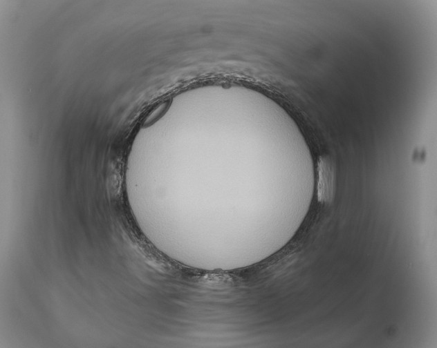 X0000112161491200908281351