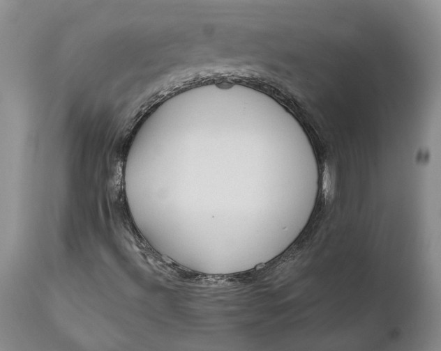 X0000112161492200908281351