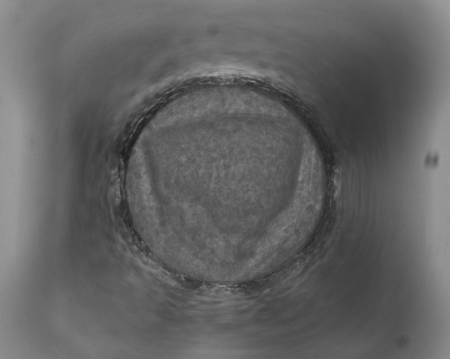 X0000112161493200908281351