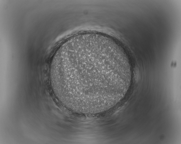 X0000112161494200908281351