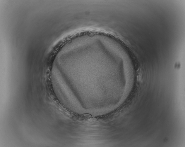 X0000112161495200908281351