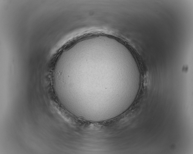 X0000112161496200908281351