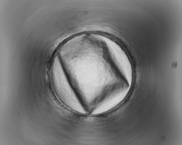 X0000112161497200908281351