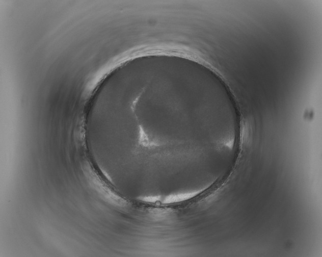 X0000112161498200908281351