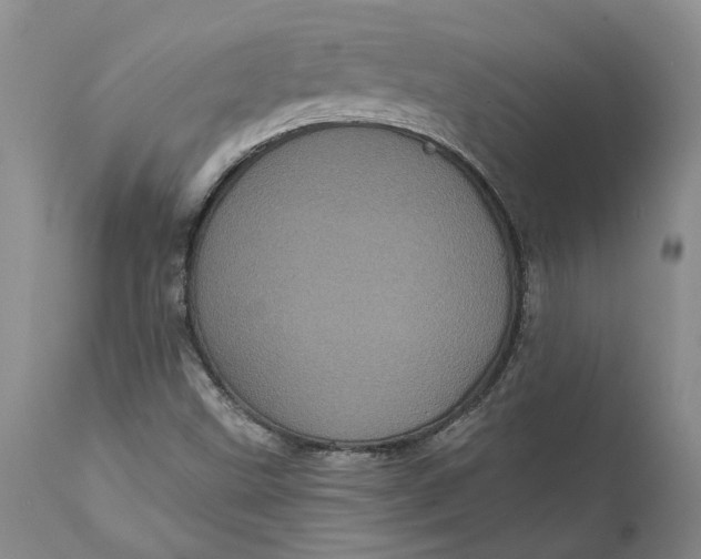 X0000112161499200908281351