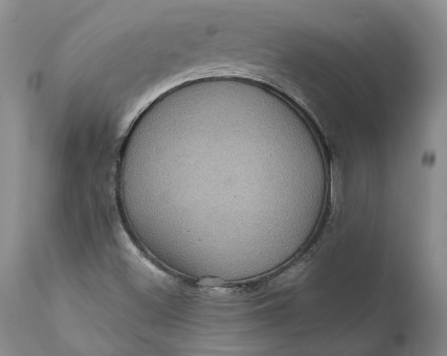 X0000112161500200908281351