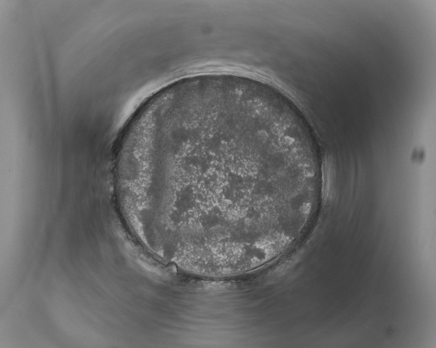 X0000112161501200908281351