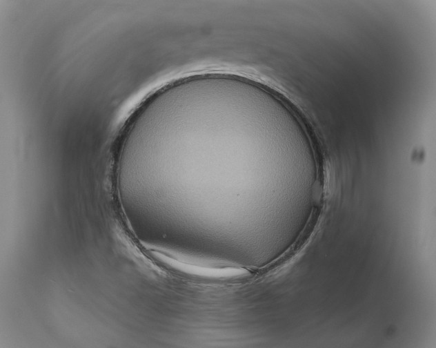 X0000112161502200908281351