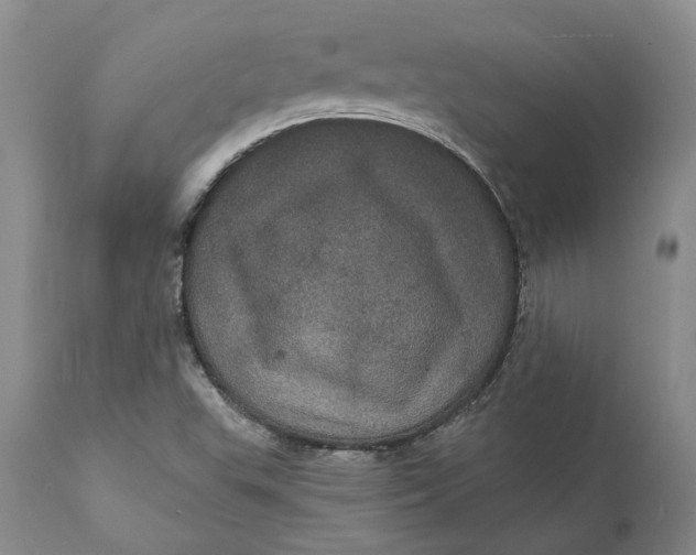 X0000112161503200908281351