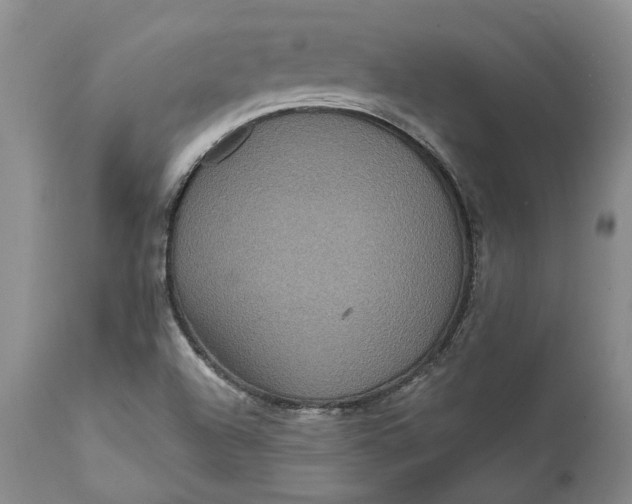 X0000112161504200908281351