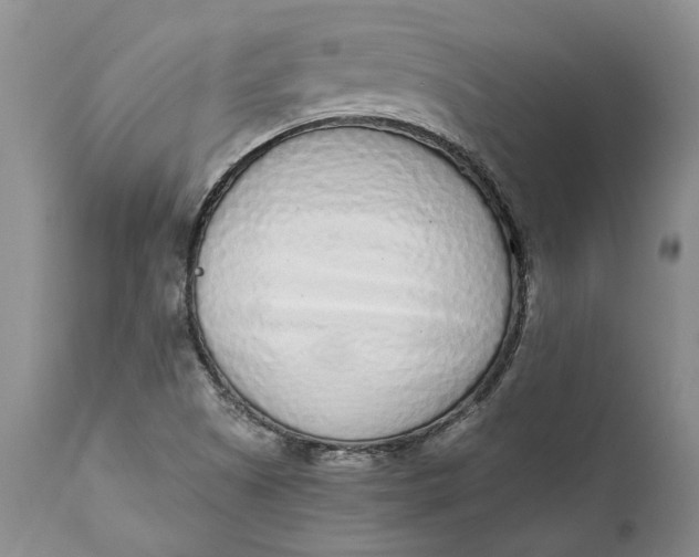 X0000112161505200908281351