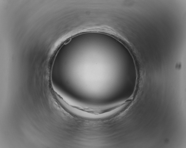 X0000112161506200908281351