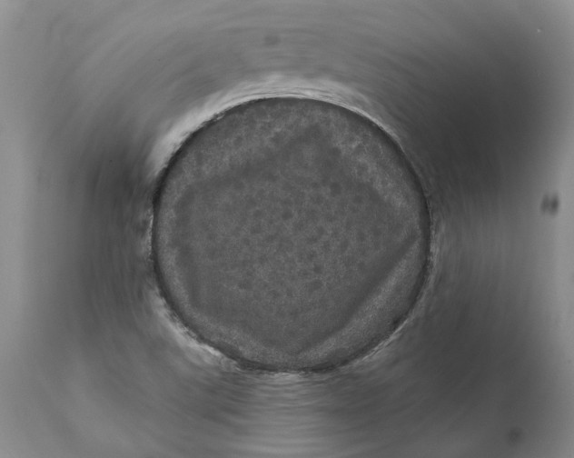 X0000112161507200908281351