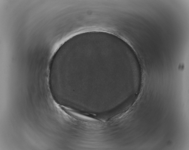 X0000112161508200908281351