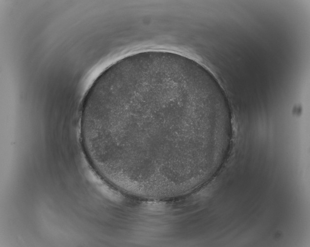 X0000112161511200908281351