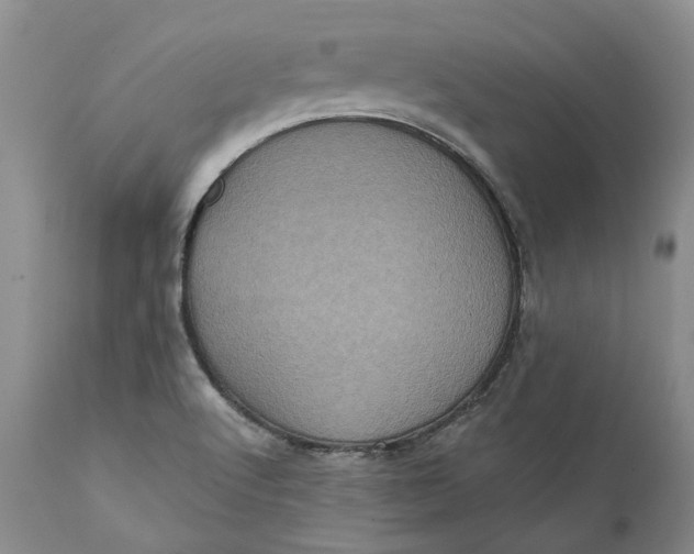 X0000112161512200908281351