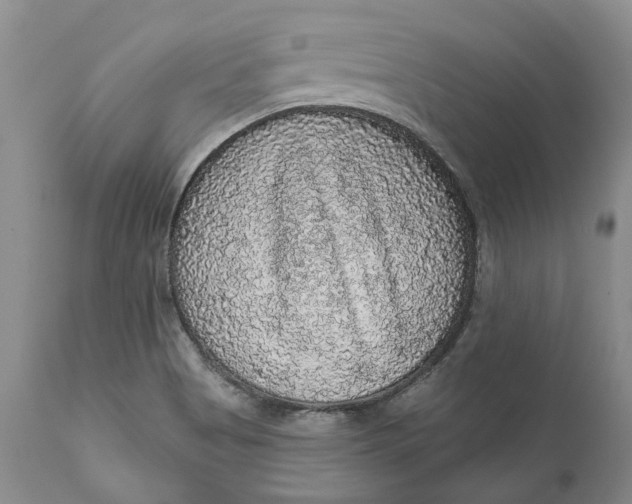 X0000112161513200908281351