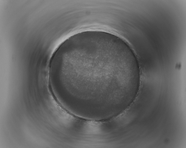 X0000112161514200908281351