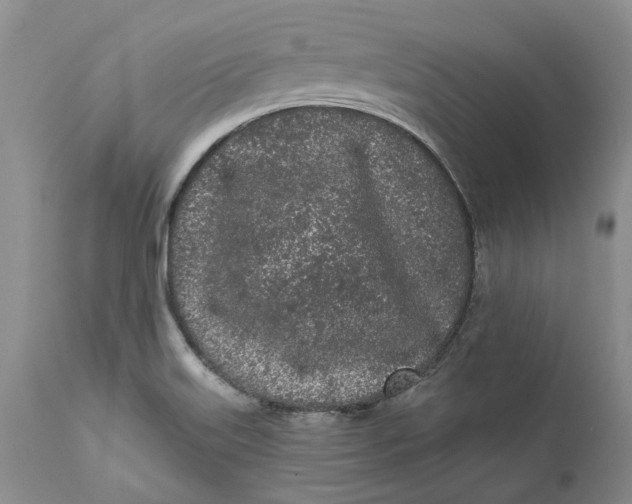 X0000112161515200908281351