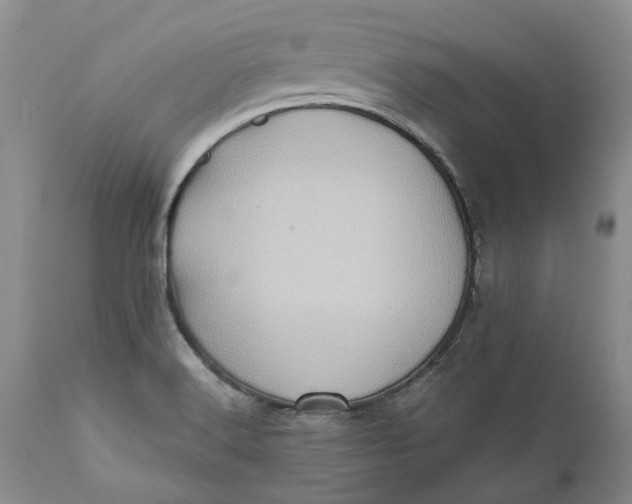 X0000112161516200908281351