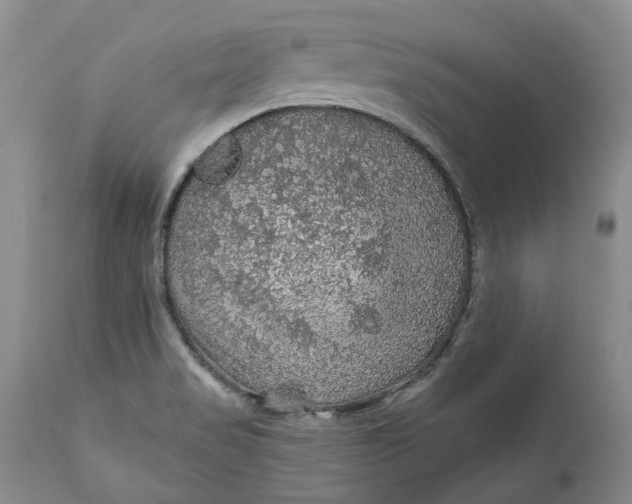 X0000112161517200908281351