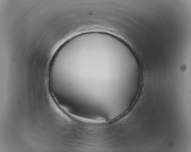 X0000112161518200908281351