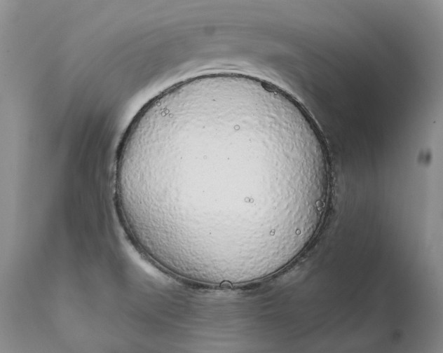 X0000112161519200908281351