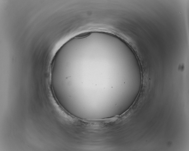 X0000112161520200908281351