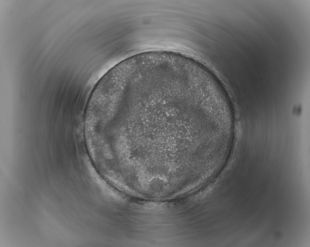 X0000112161521200908281351