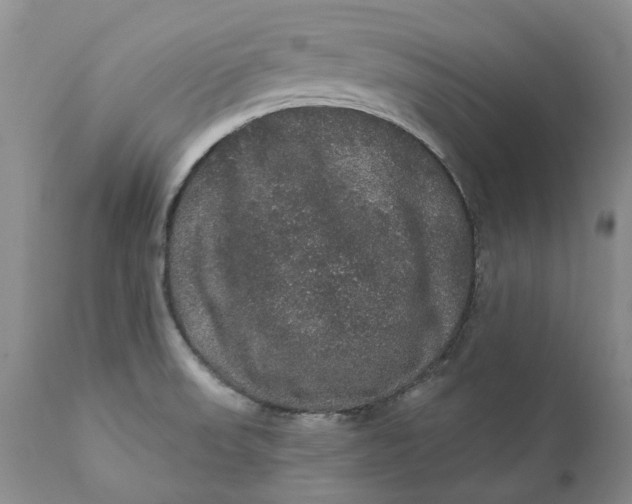 X0000112161523200908281351