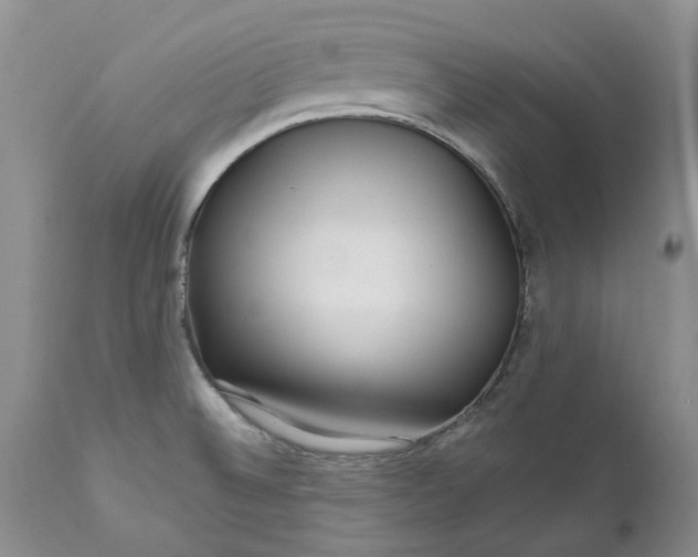 X0000112161524200908281351